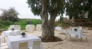 אירועים לעסק שלכם