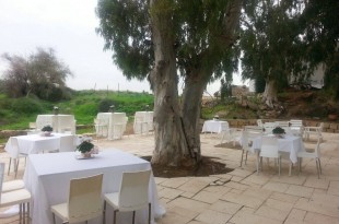 אירועים לעסק שלכם