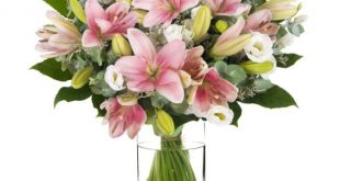 משלוחי פרחים במגוון ענק ובמחירים לכל כיס